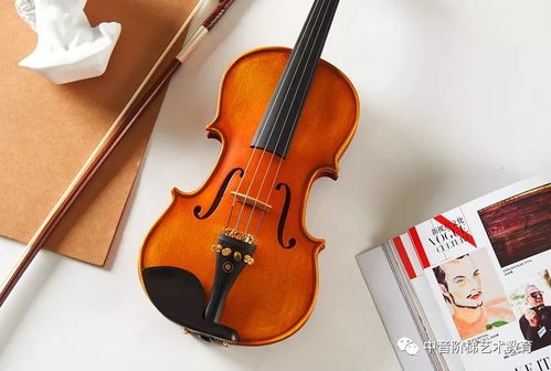 请问是音乐表演好,还是音乐教育好