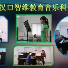 武汉智维教育咨询中心江岸分部 供应产品